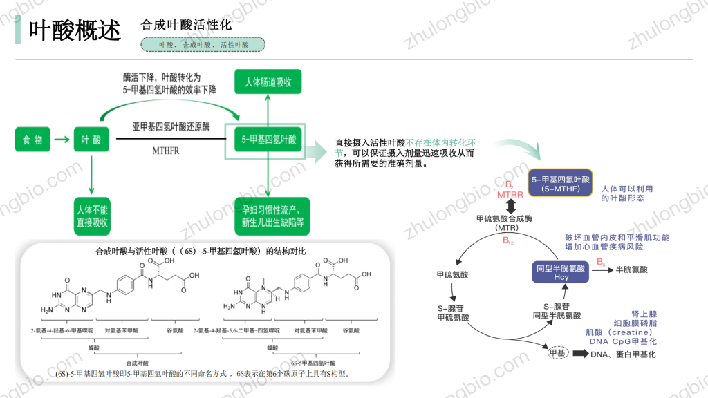(6S)-L-5-甲基四氢叶酸钙